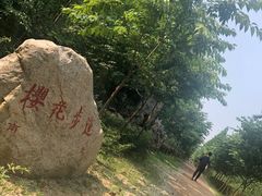 -合肥滨湖国家森林公园