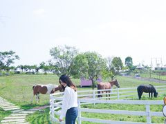 -紫颐香薰山谷景区