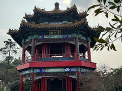 -重庆园博园