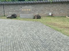 -南京市江宁方山
