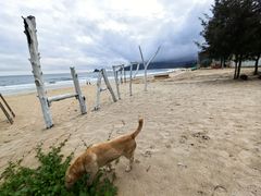 -西涌国际滨海旅游区