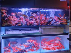 -华声天桥民俗文化园