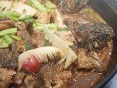 -老板恋上鱼(印象城店)