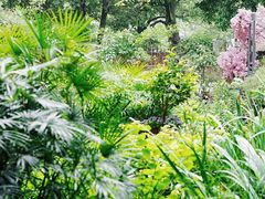 -谷咖啡·鲜花绿植花园餐厅