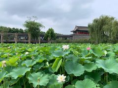 -大明幻境第一城