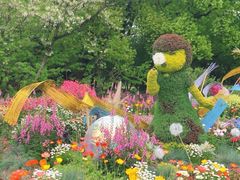 -上海共青森林公园