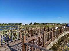 -天津东丽湖风景区