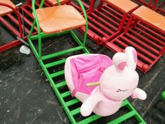 -紫竹院公园冰场