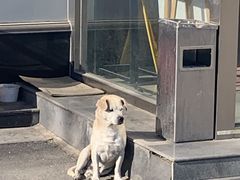 -畅通航行汽车钣金喷漆 无痕修复·局部喷漆