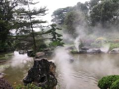 -东莞植物园