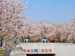 -龙美术馆(西岸馆)