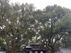 -岳王庙