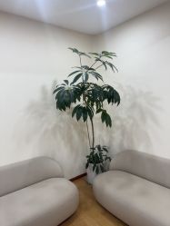 -HEYAN荷妍专业脱毛连锁机构