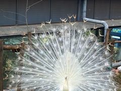 -昆明动物园