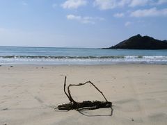 -新欢海鲜坊(赖屋店)