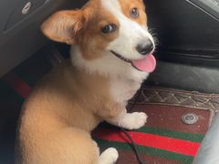-顺鑫石门市场