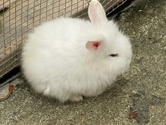 -厦门园林博览苑