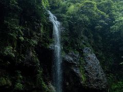 -龙苍沟森林公园