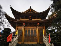 -上海东林寺(金山区)