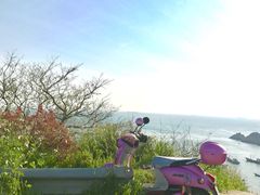 -枸杞岛