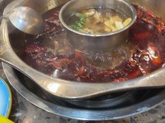 -金鼎雪山牦牛杂火锅(理县总店)