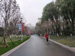 -青枫公园