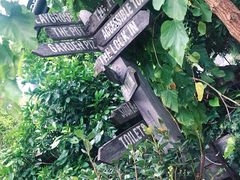 -The Grounds of Alexandria