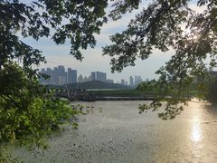 -月湖风景区