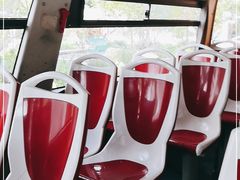 -BUS TOUR观光巴士