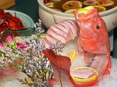 -金龙·打边炉(南京西路店)
