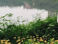 -重庆彩云湖湿地公园