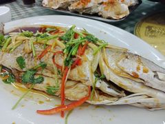 -烁佳海鲜大馅饺子