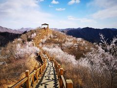 -大岭沟猕猴桃谷风景区