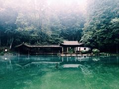 iphone_upload_pic-灵栖洞天