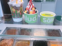 -Salud撒露欧洲冻酸奶(蓝色港湾店)