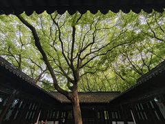 -上海醉白池公园