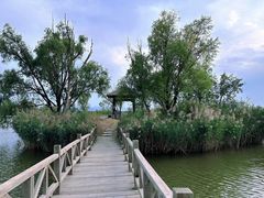 -野鸭湖国家湿地公园