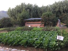 菜园-瓦厂酒店