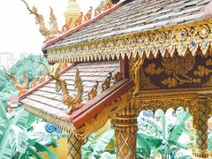 -野象谷景区
