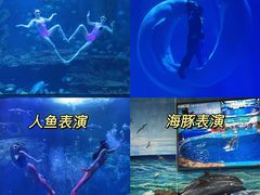 -多彩贵州城极地海洋世界