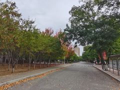 -辽宁大学(崇山校区)