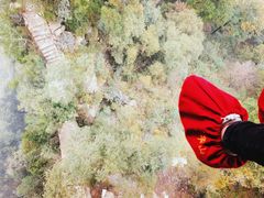 -少华山国家森林公园