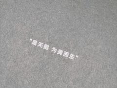 -BLACKSWAN黑天鹅(环球店)