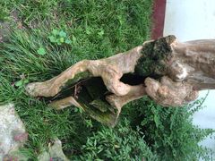 李白纪念馆-李白纪念馆