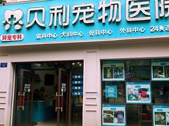 -贝利宠物医院·骨科·眼科·肿瘤转诊中心(南坪诊疗中心)