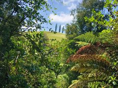 -怀托摩萤火虫洞