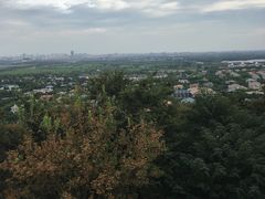 -上海佘山国家森林公园西佘山园