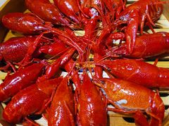 靓靓蒸虾-靓靓蒸虾(中山公园店)