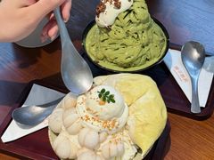 -东莞植物园
