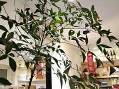 -Joymean coffee.见面咖啡